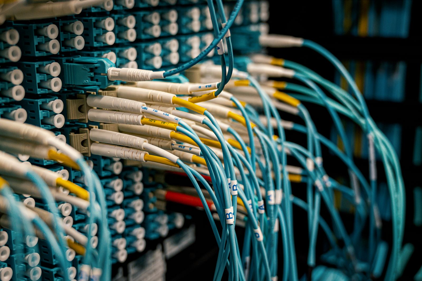 Close-up of structured fiber optic patch panel cabling